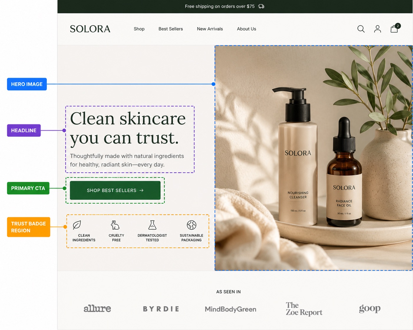 A Shopify homepage above the fold annotated with hero image, headline, primary CTA, and trust badge regions.